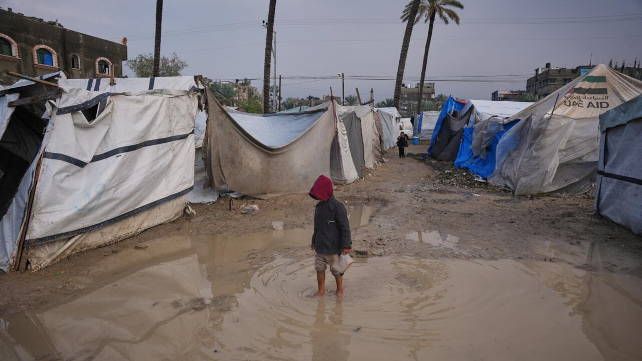 Gaza : quand la nature achève ce que les bombes ont commencé