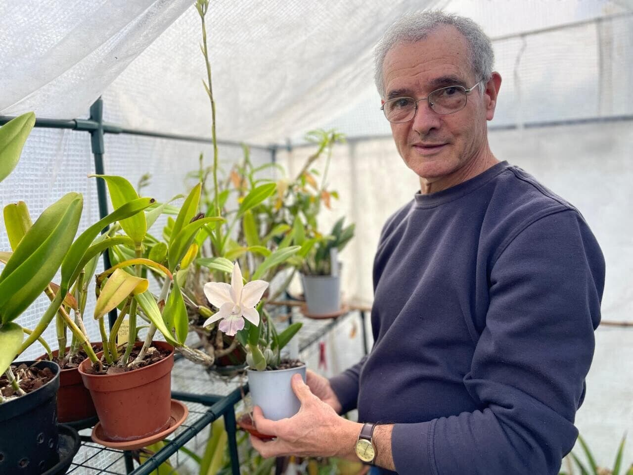 Henri Lescat cultive la résistance par les orchidées