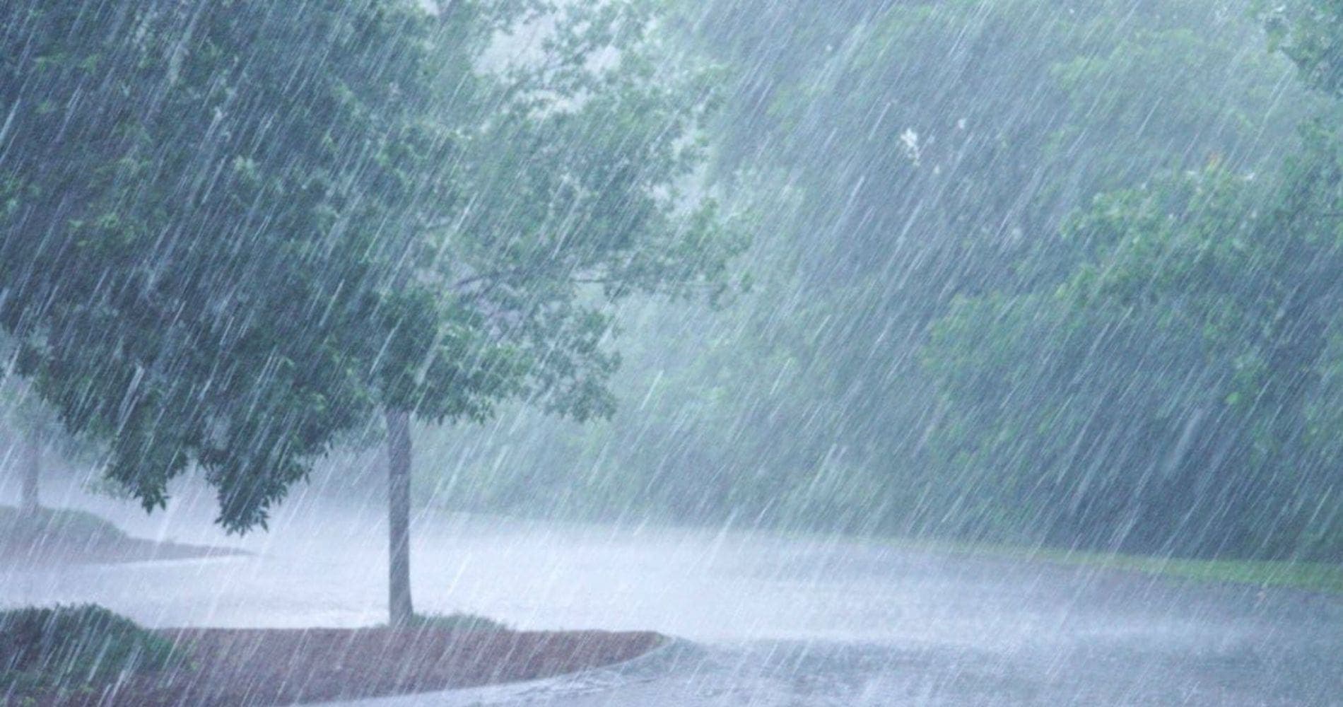 L'Algérie face aux éléments : quand la nature rappelle sa force