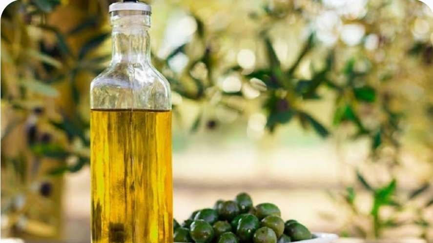 L'Europe intensifie sa production d'olive : menace néocoloniale ?