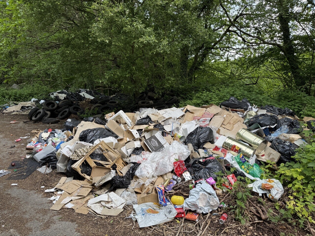 Loire-Atlantique : 50 000€ d'incivilités par an