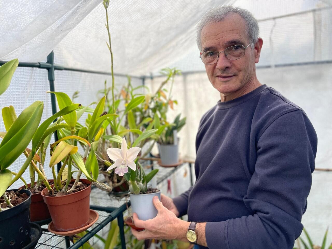 Henri Lescat cultive la résistance par les orchidées
